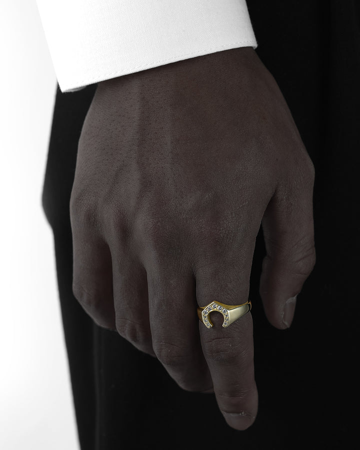 s925 horseshoe ring #R14