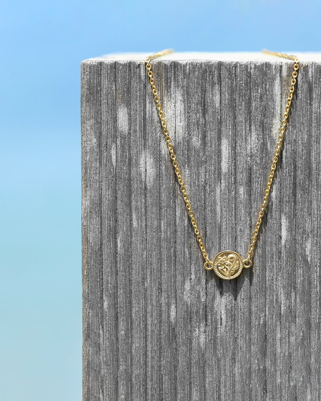 316L hawaiian coin anklet #B15