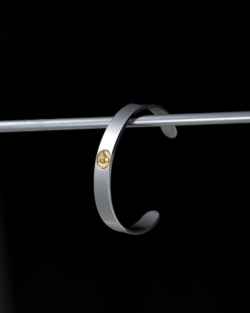 316L coin bangle #B36