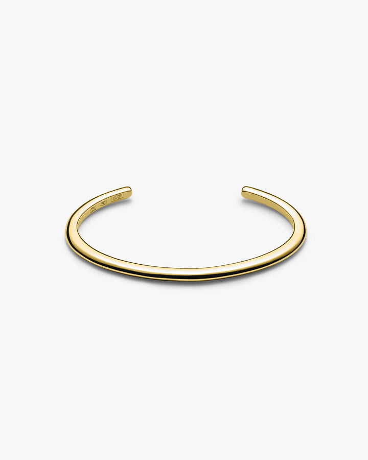 316L thin bangle #B48