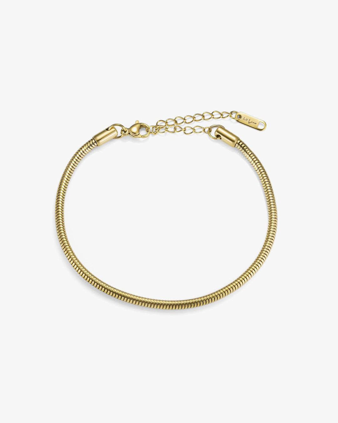 316L snake chain anklet #B56