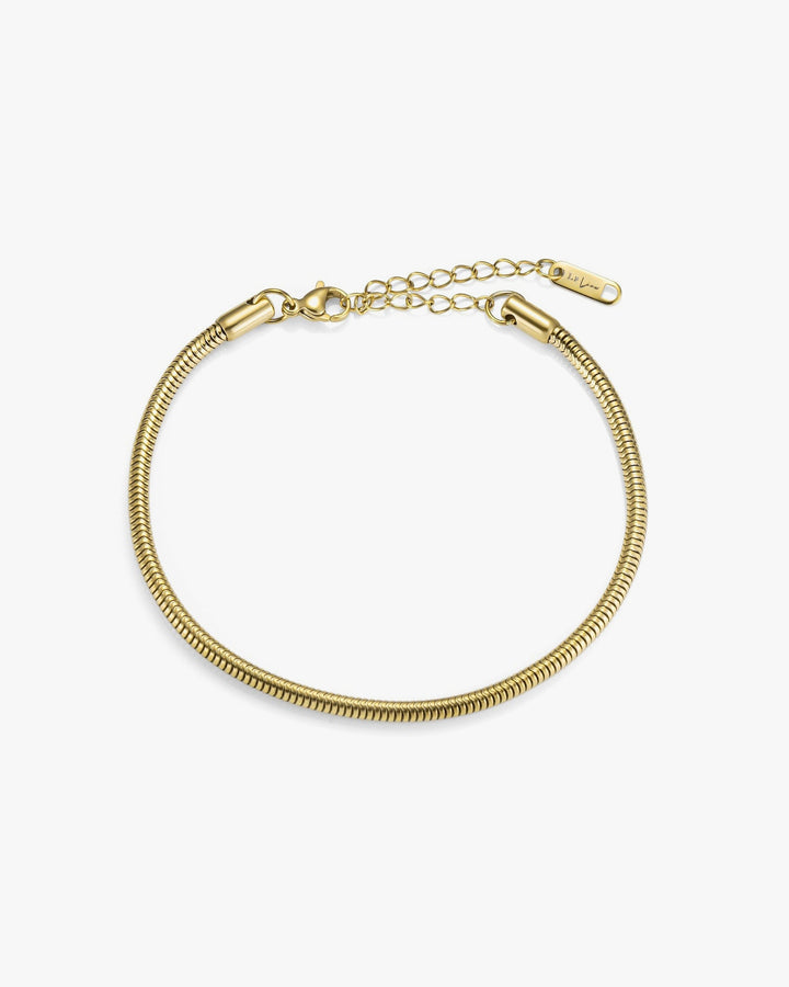 316L snake chain anklet #B56