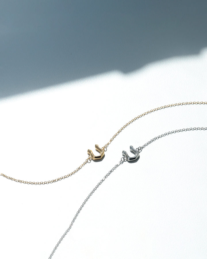 316L horseshoe anklet #B57