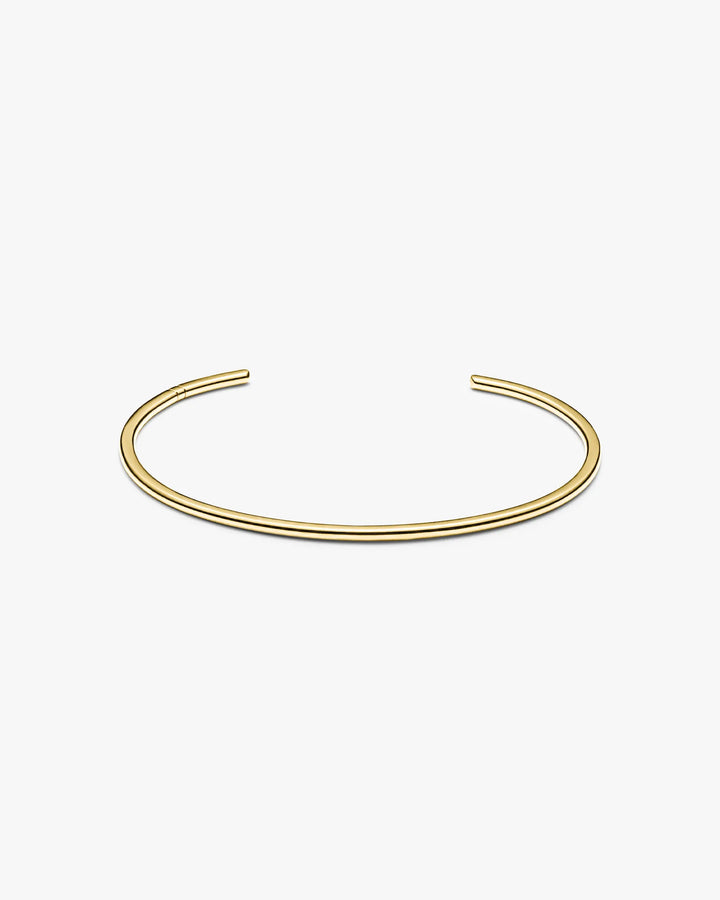 316L slim bangle #B59