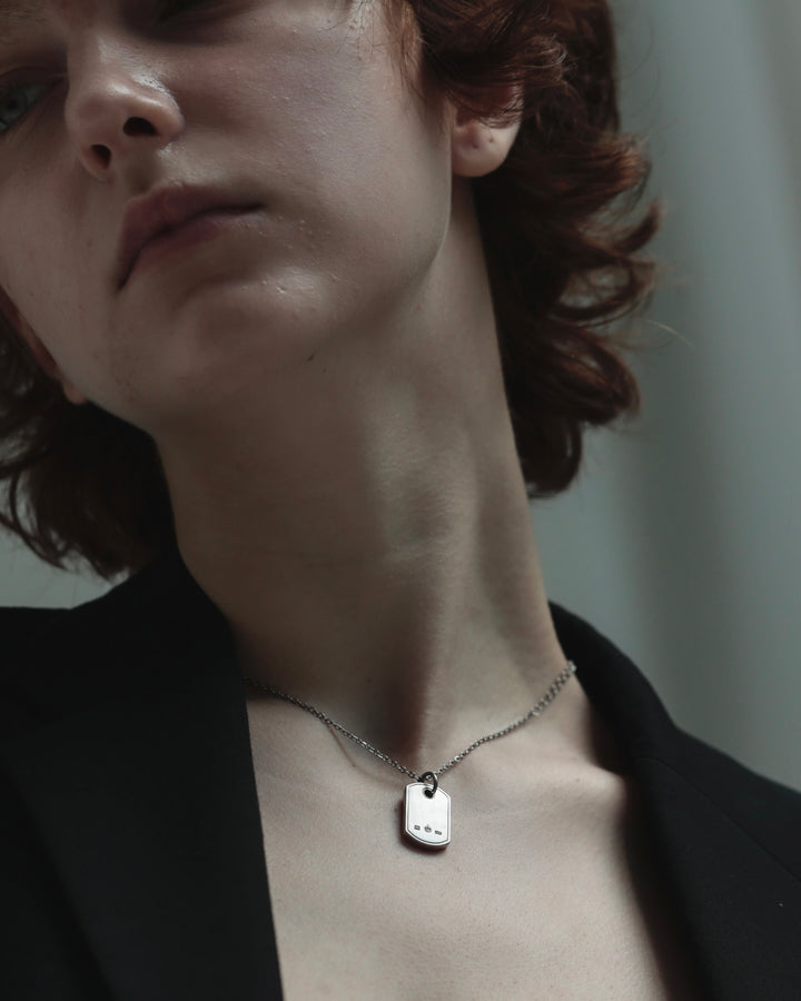 316L dog tag necklace #N100