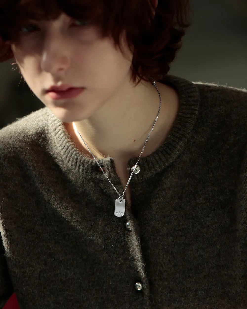 316L dog tag necklace #N100