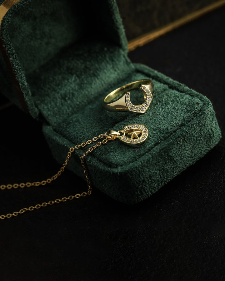 s925 horseshoe&star necklace #N12