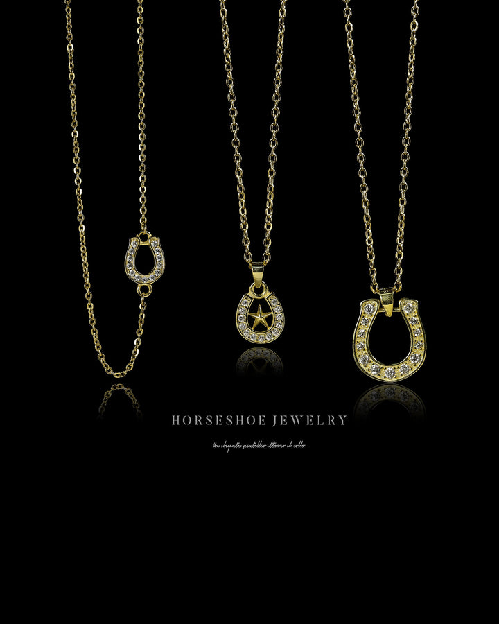 s925 horseshoe chain necklace #N13