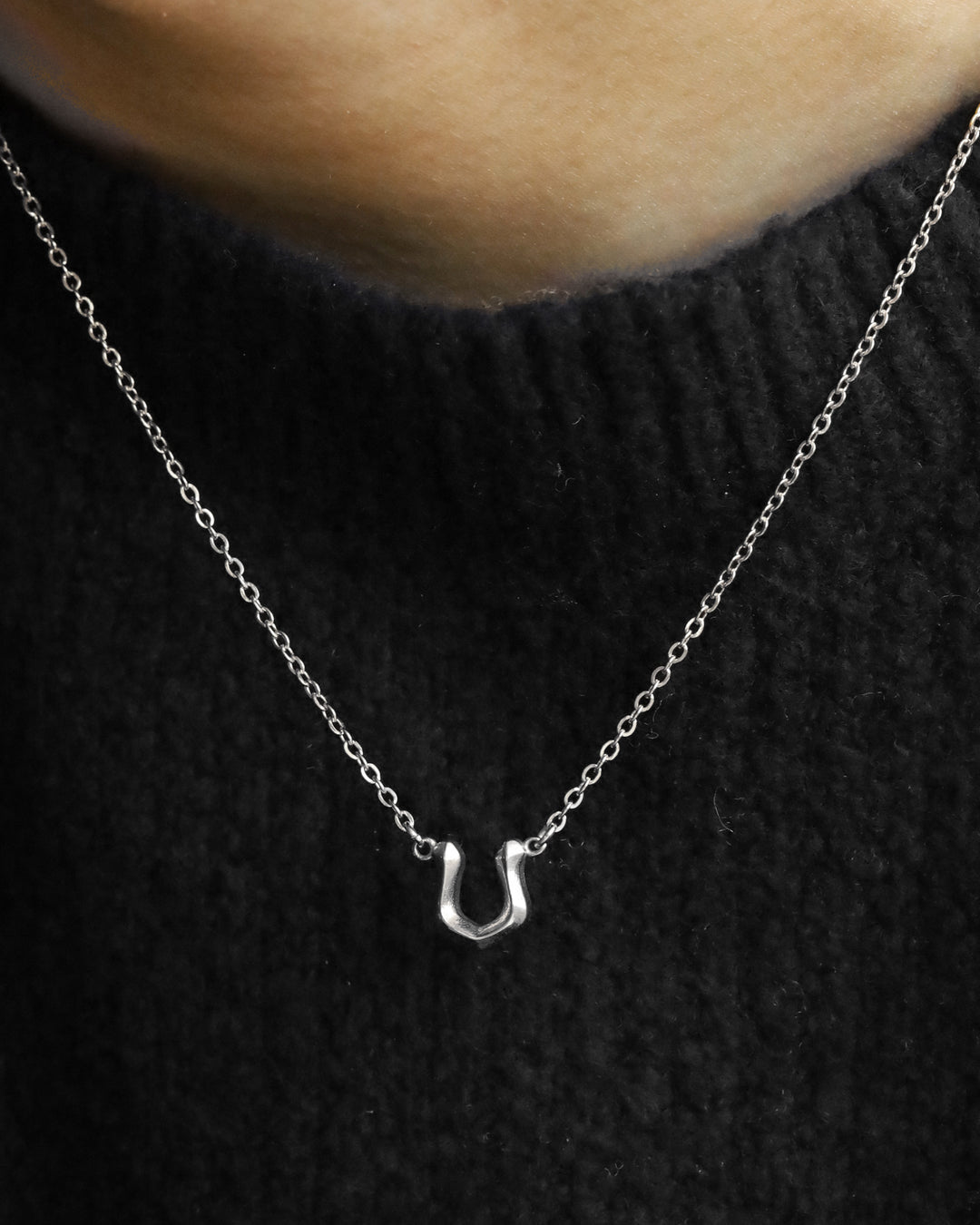 316L horseshoe necklace #N65