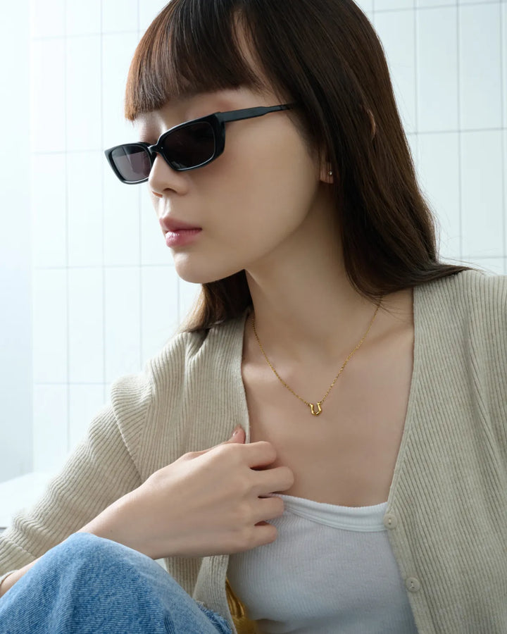316L horseshoe necklace #N65
