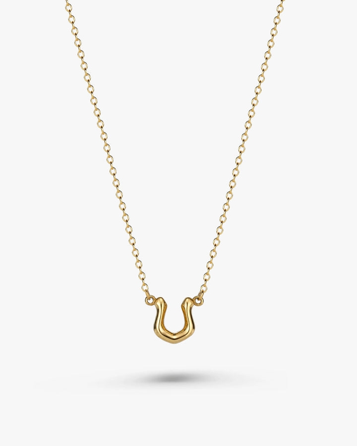 316L horseshoe necklace #N65