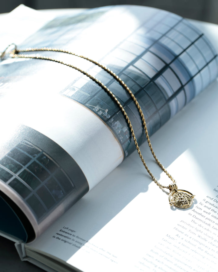 316L frame coin necklace #N78