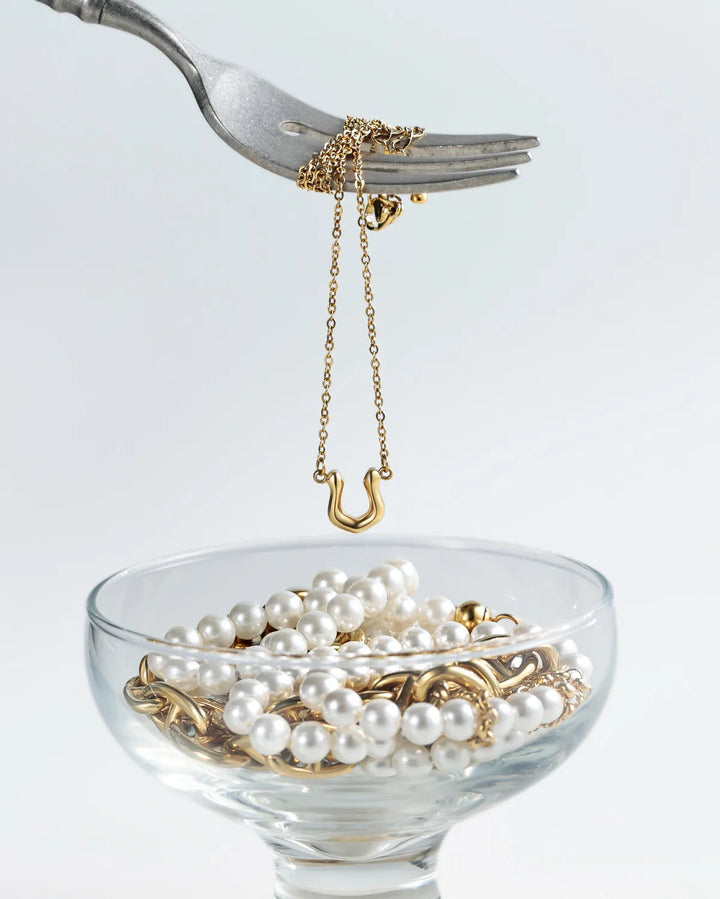 316L horseshoe necklace #N65