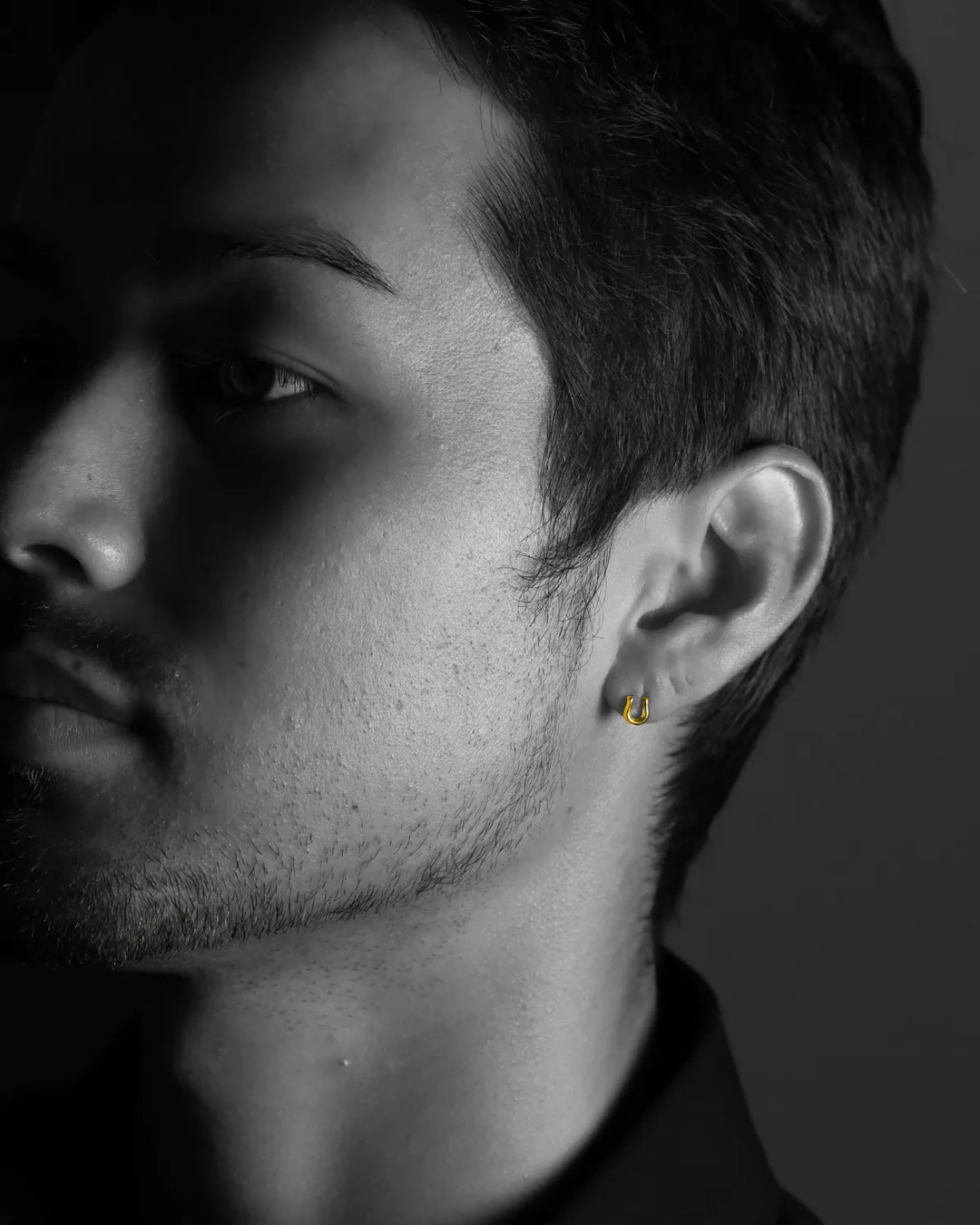 316L horseshoe pierce #P02