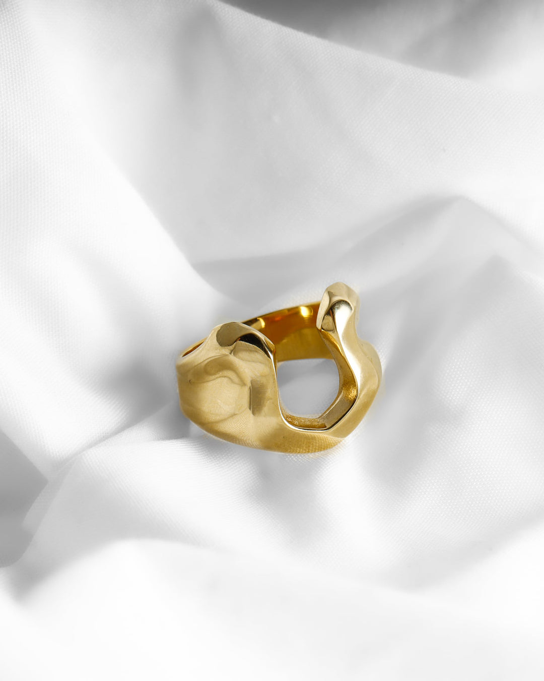 316L horseshoe ring #R25