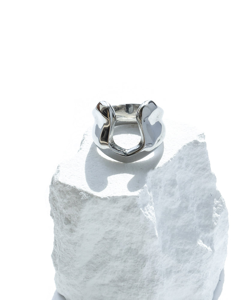 316L horseshoe ring #R25