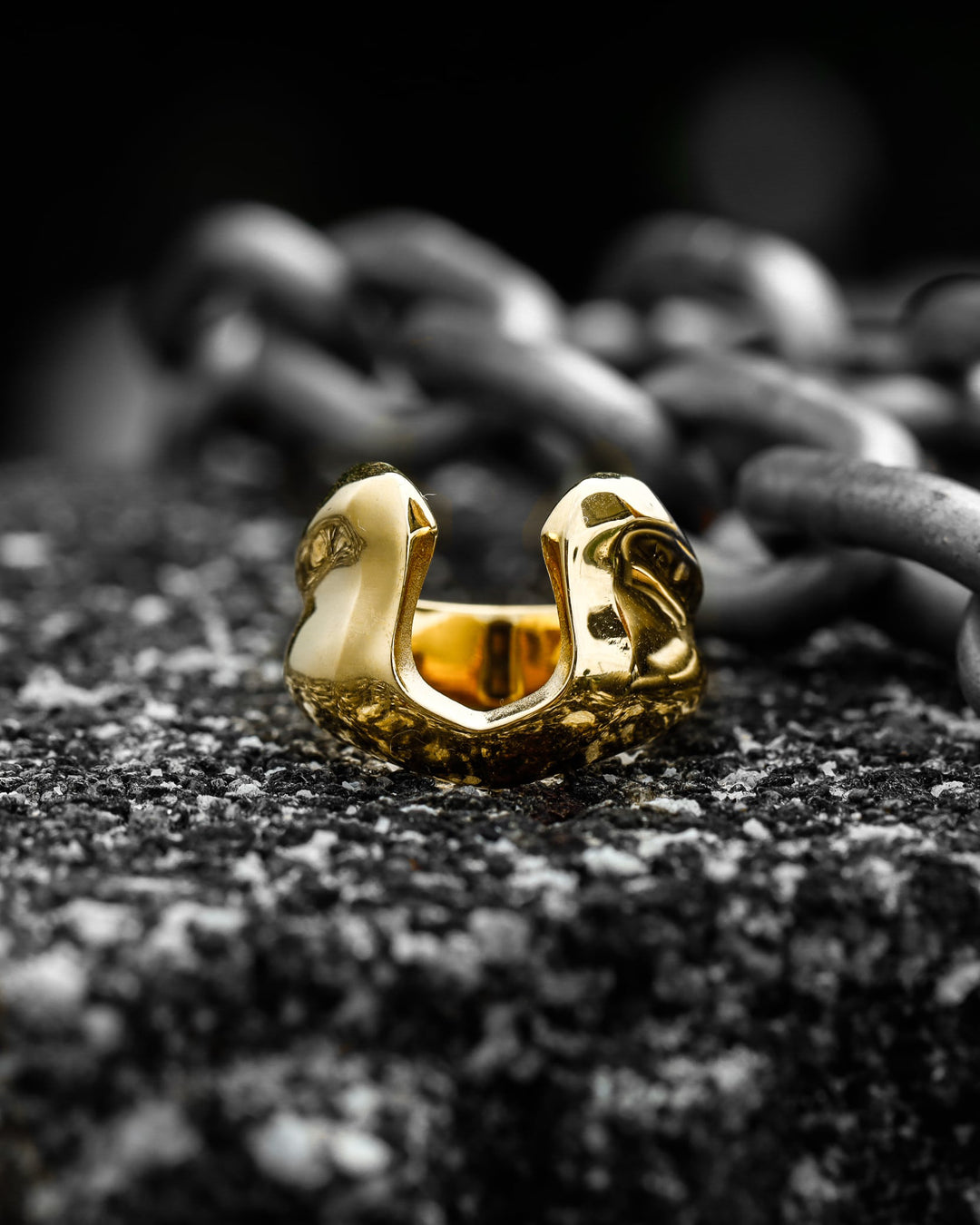 316L horseshoe ring #R25