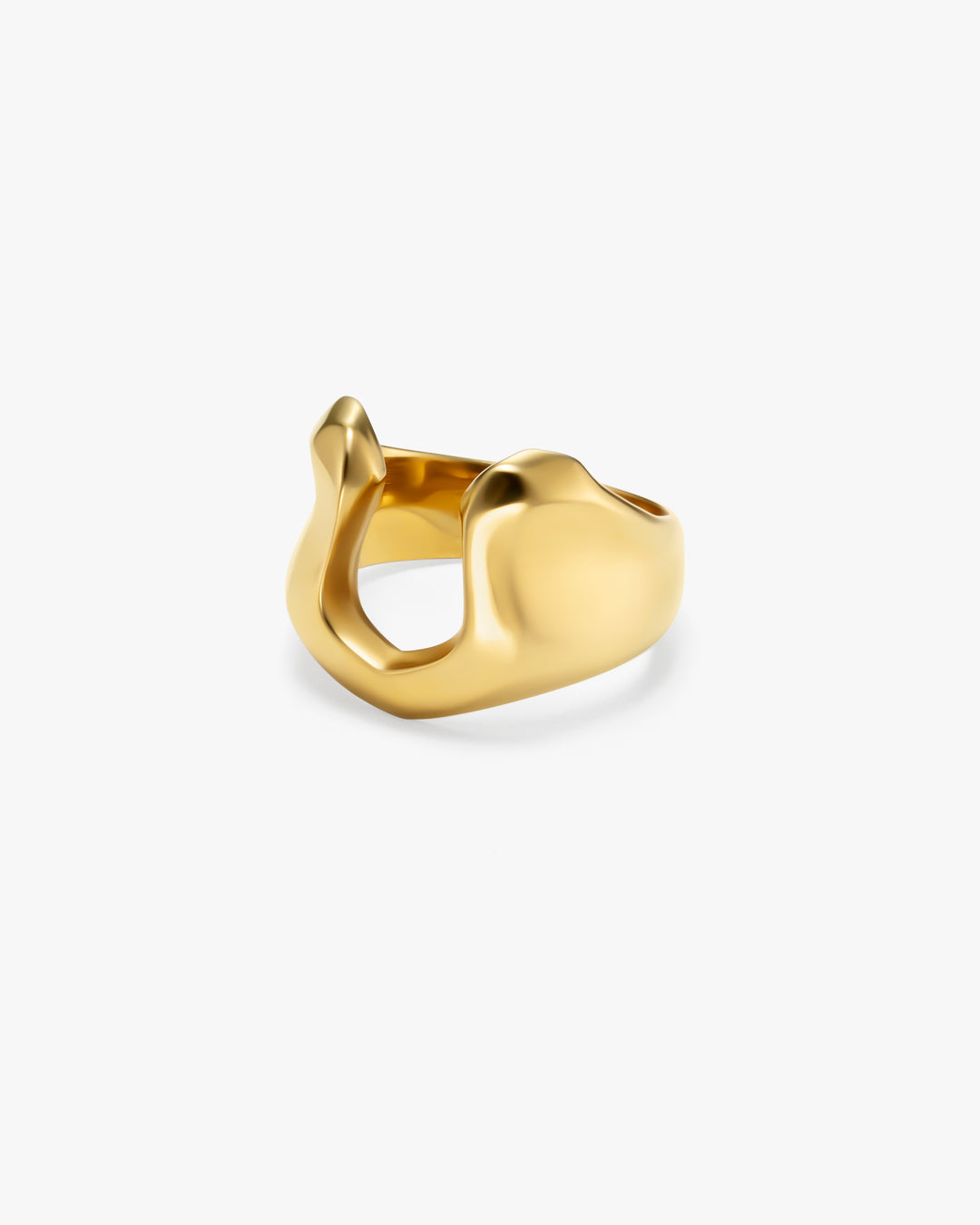 316L horseshoe ring #R25