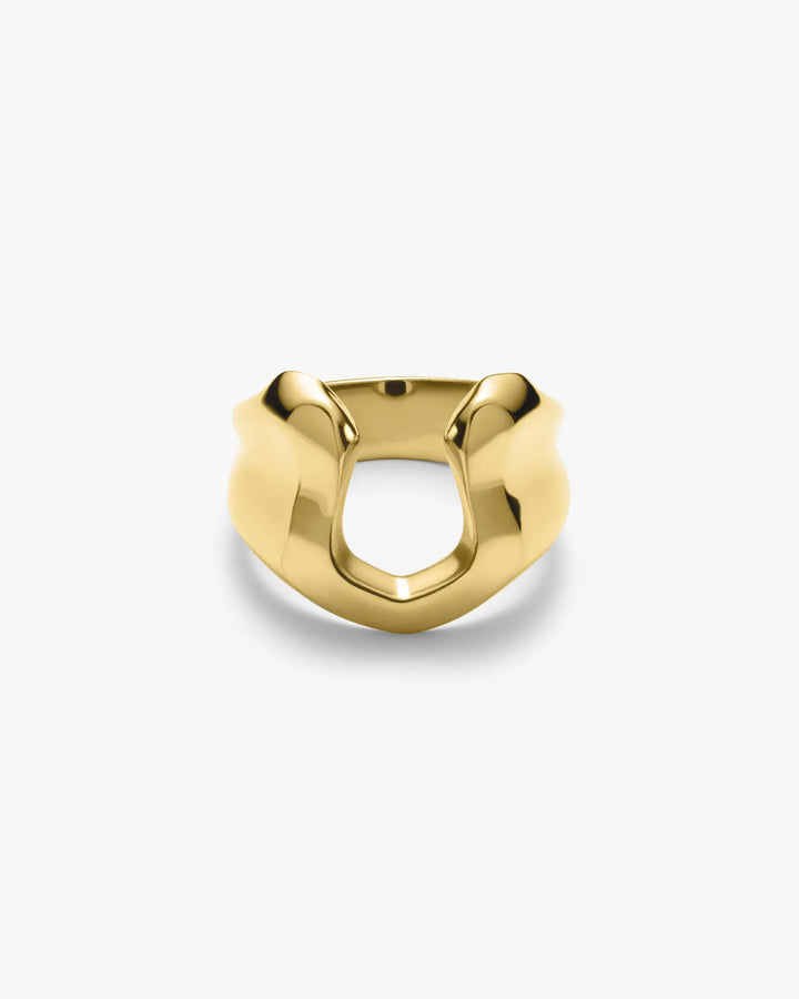 316L horseshoe ring #R25
