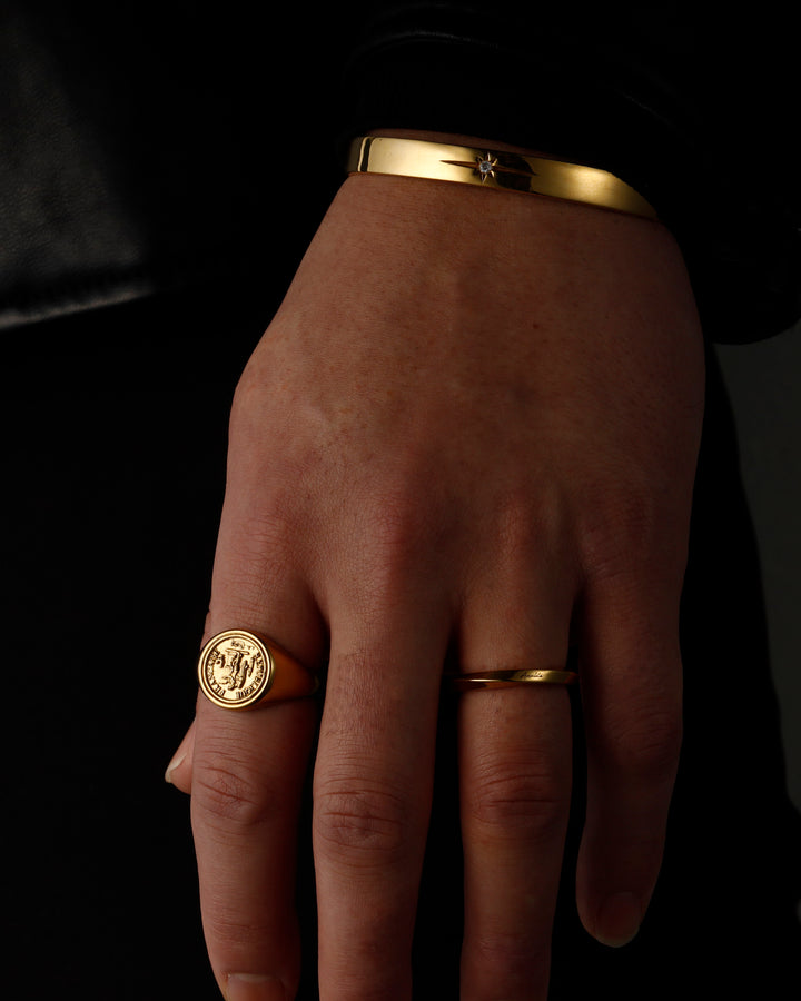 316L twist ring #R27
