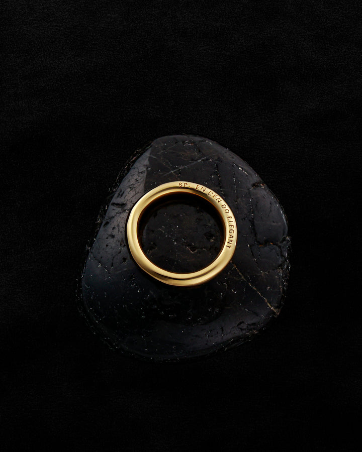 316L round ring #R30