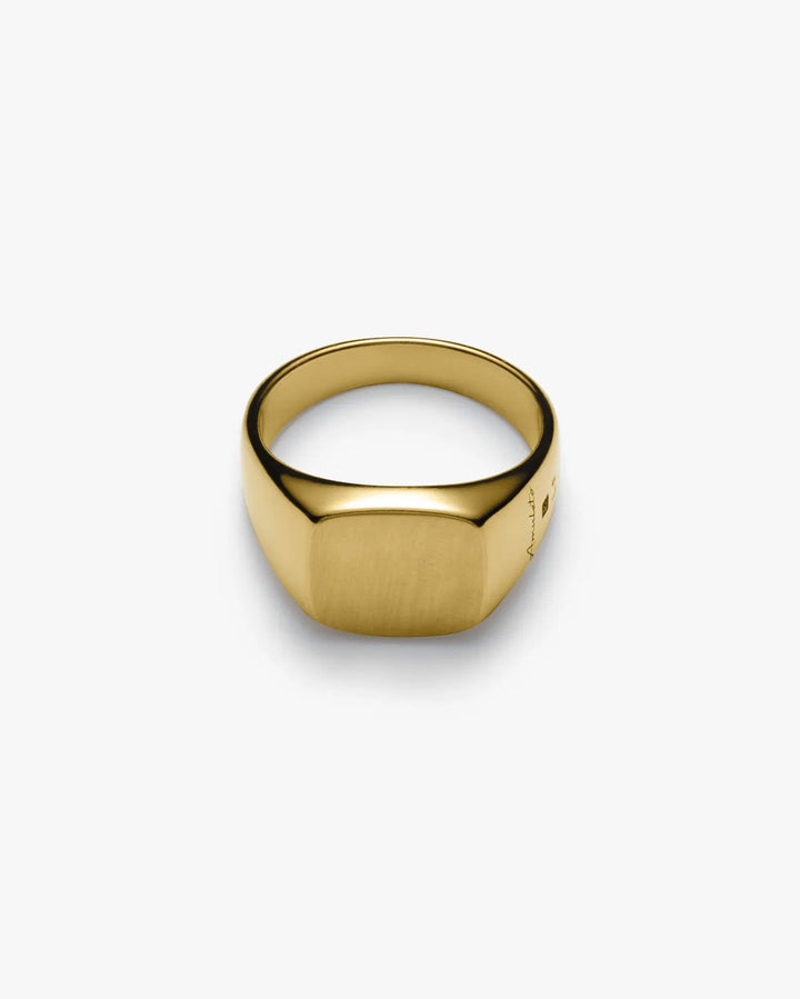316L signet ring #R33