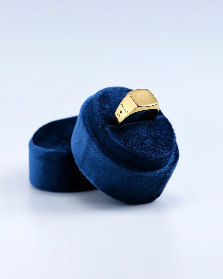 316L signet ring #R33