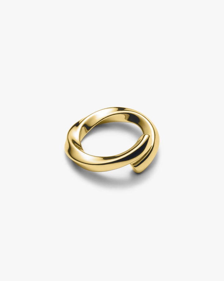 316L double twist ring  #R50